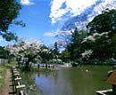 松ヶ岡公園