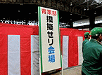 模擬せり