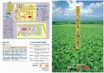 クリックするとこのページが表示されます